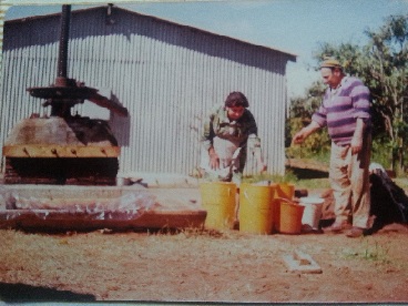 Crushing olives in the old days